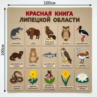 Панно из фетра "Красная книга Липецкой области"