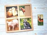 Картинки-половинки Домашние животные