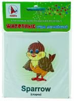 Ракета. Карточки для развития ребенка двухсторонние "Животные.Учим английский
