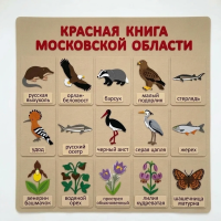 Панно из фетра "Красная книга Московской области"