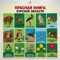 Панно из фетра "Красная книга Курской области"