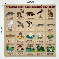 Панно из фетра "Красная книга Кировской области"