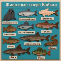 Панно из фетра "Животные озера Байкал"