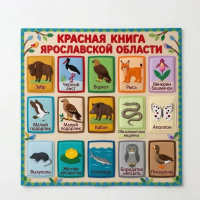 Панно из фетра "Красная книга Ярославской области"