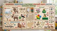 Бизиборд Животные и растения красной книги Якутии