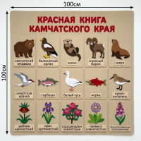 Панно из фетра "Красная книга Камчатского края"