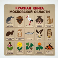 Панно из фетра "Красная книга Московской области"