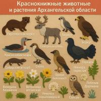 Краснокнижные животные и растения Архангельской области