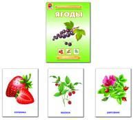Дем.материал "Ягоды"