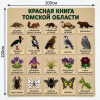 Панно из фетра "Красная книга Томской области"