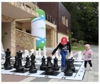 Фигуры шахматные ГИГАНТСКИЕ (король 61 см) с доской виниловой гигантской 3 метр