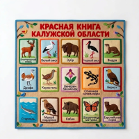 Панно из фетра "Красная книга Калужской области"