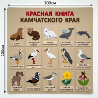Панно из фетра "Красная книга Камчатского края"