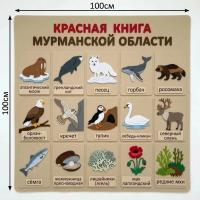 Панно из фетра "Красная книга Мурманской области"
