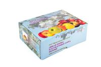 Набор муляжей "Дикая форма и культурные сорта яблок