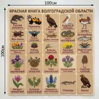 Панно из фетра "Красная книга Волгоградской области"