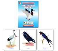 Перелётные птицы. Демонстрационный материал