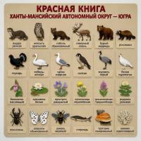 Панно из фетра "Красная книга Ханты-Мансийского автономного округа — Югры"