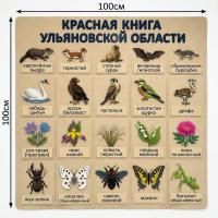 Панно из фетра "Красная книга Ульяновской области"