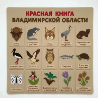 Панно из фетра "Красная книга Владимирской области"