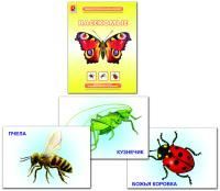 Дем.материал "Насекомые"