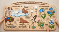 Бизиборд Животные и растения красной книги Якутии
