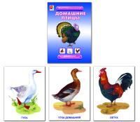 Дем.материал "Домашние птицы"
