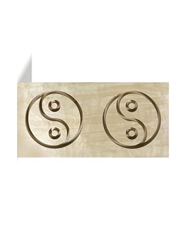 Межполушарная доска №16