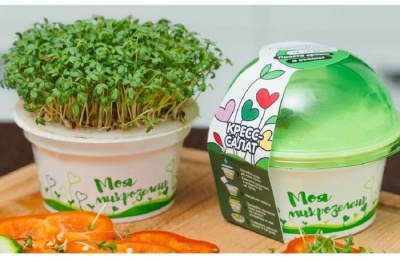 Комплект по проектной деятельности. Выращивание зелени