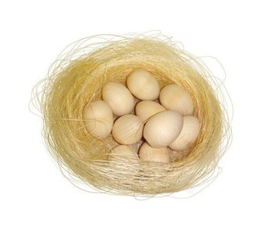 Гнездо с яйцами(10 шт) под роспись(RNToys)