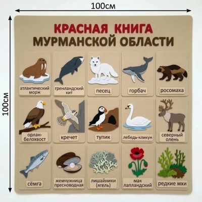 Панно из фетра "Красная книга Мурманской области"