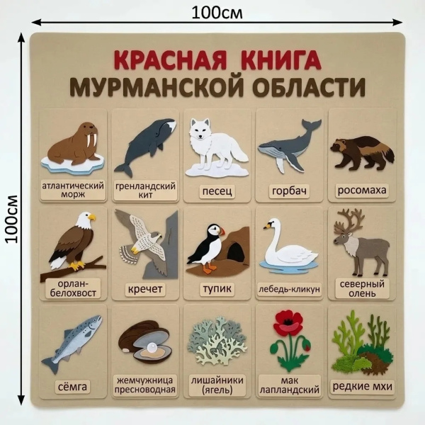 Панно из фетра "Красная книга Мурманской области"