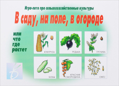 В-Д."В саду, на поле, в огороде" 