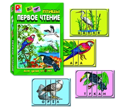 Первое чтение ПТИЦЫ