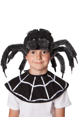 Паук (накидка)