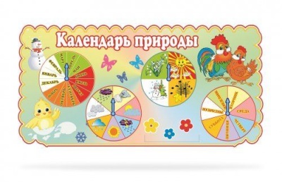 Календарь природы из набора "Петушок