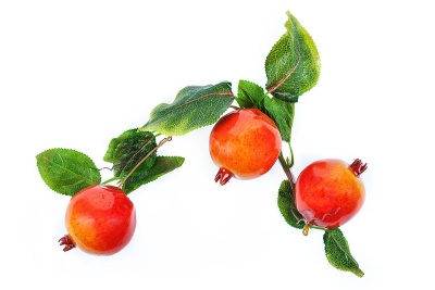 Ветка муляжей "Гранат