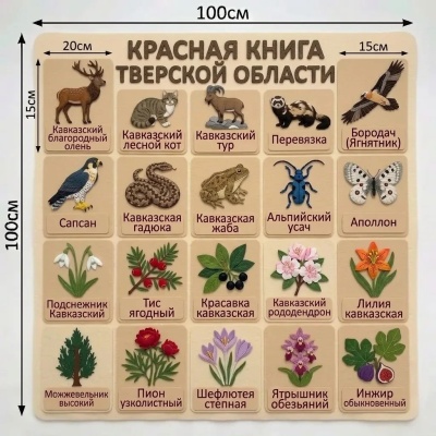 Панно из фетра "Красная книга Тверской области"