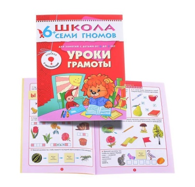 ШСГ Седьмой год обучения. Уроки грамоты.