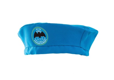 Голубой берет (военная разведка)