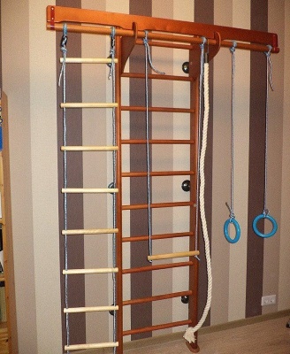 Д224 темная (крепление к стене) Шведская стенка