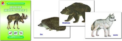 Дем.материал "Дикие животные 1"
