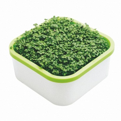 Набор "Проращиватель для микрозелени, семена"