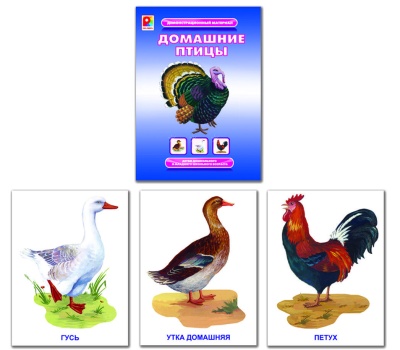 Дем.материал "Домашние птицы"