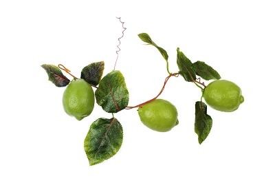 Ветка муляжей "Лайм