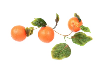 Ветка муляжей "Апельсины"