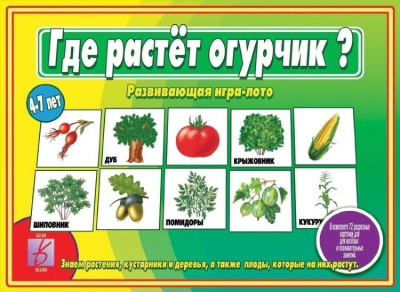 В-Д."Где растет огурчик?" 