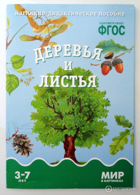 Деревья и листья ФГОС Наглядно-дидактич пособие (Мозаика Синтез)