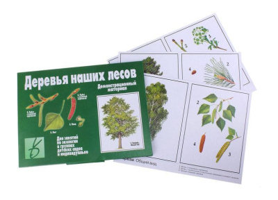 В-Д."Деревья наших лесов" 