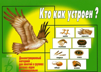 В-Д."Кто как устроен"